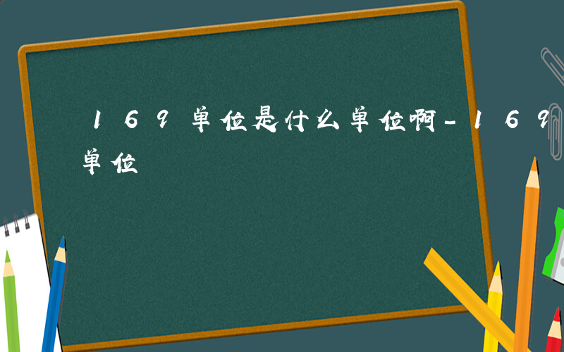 169单位是什么单位啊-169单位是什么单位