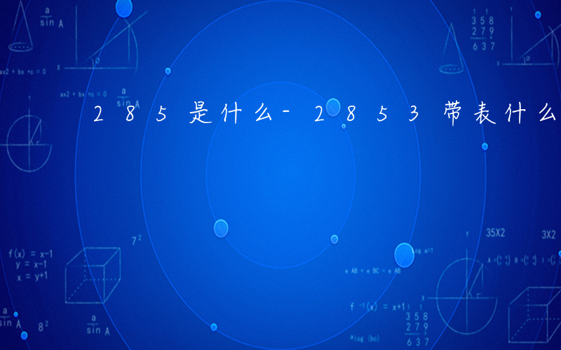 285是什么-2853带表什么