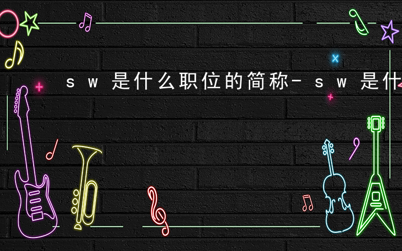 sw是什么职位的简称-sw是什么职位