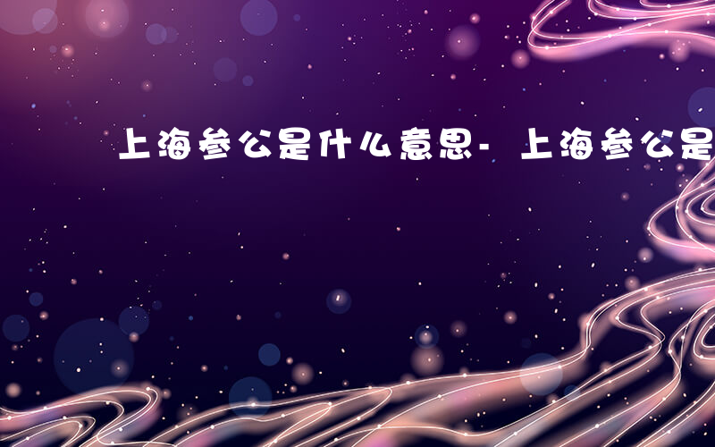 上海参公是什么意思-上海参公是什么