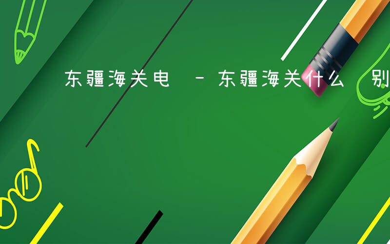 东疆海关电话-东疆海关什么级别