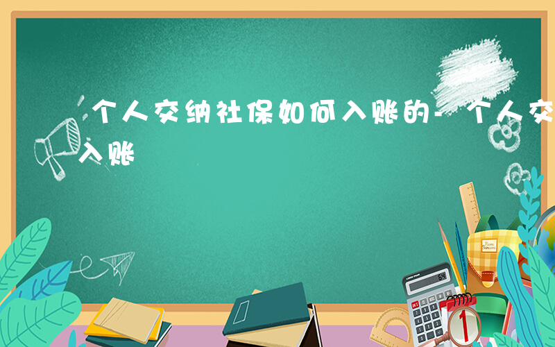 个人交纳社保如何入账的-个人交纳社保如何入账