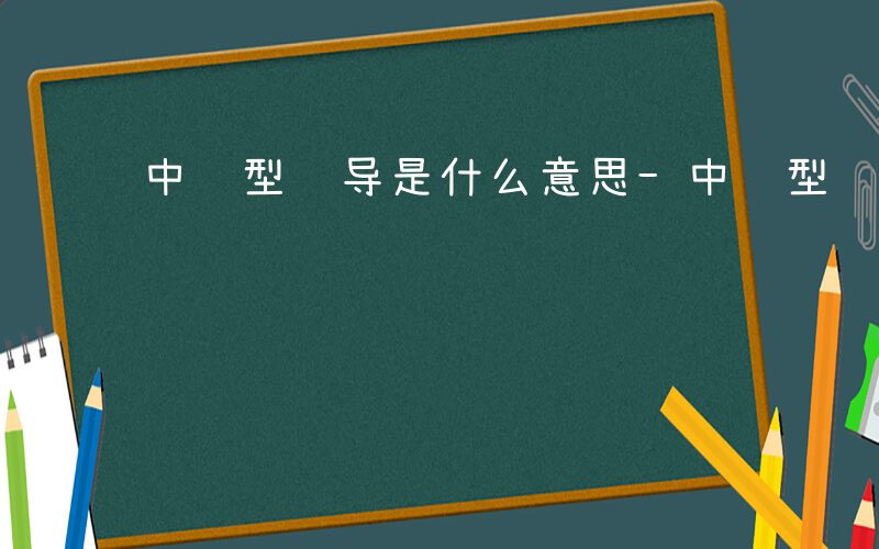 中间型领导是什么意思-中间型领导是什么