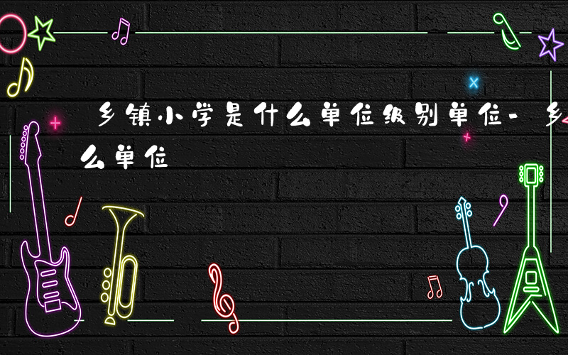 乡镇小学是什么单位级别单位-乡镇小学是什么单位