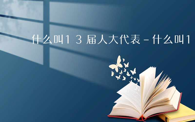 什么叫13届人大代表-什么叫13届人大