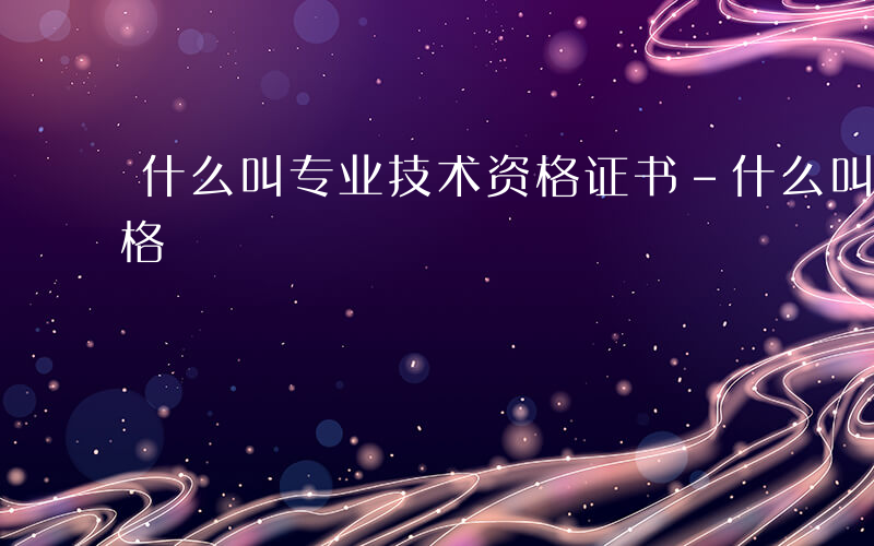 什么叫专业技术资格证书-什么叫专业技术资格