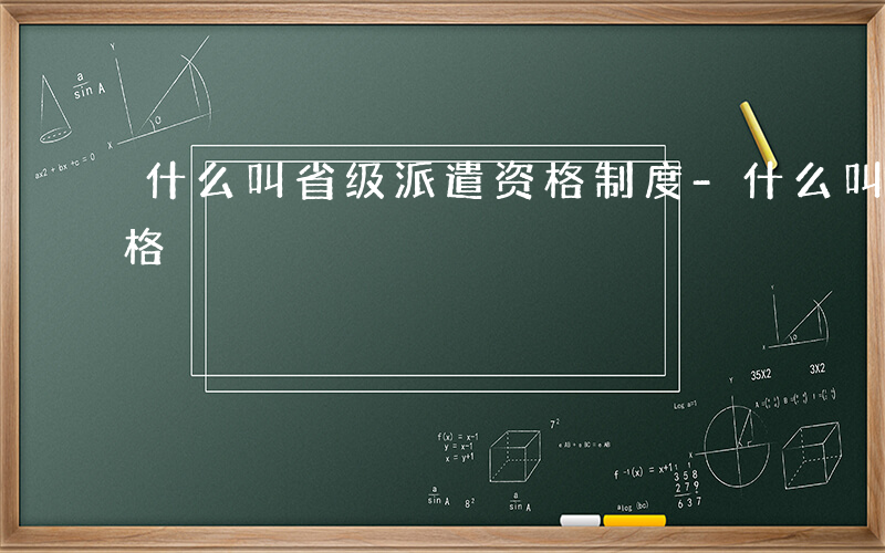 什么叫省级派遣资格制度-什么叫省级派遣资格