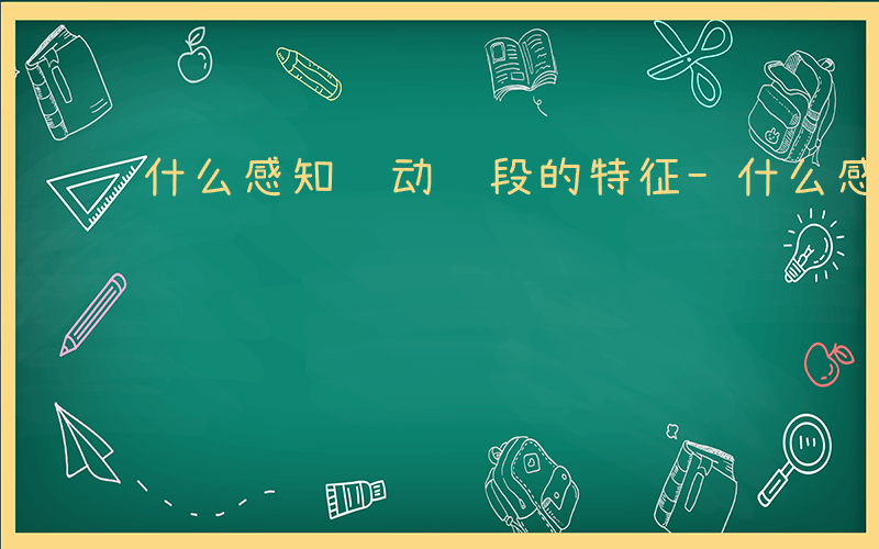 什么感知运动阶段的特征-什么感知运动阶段