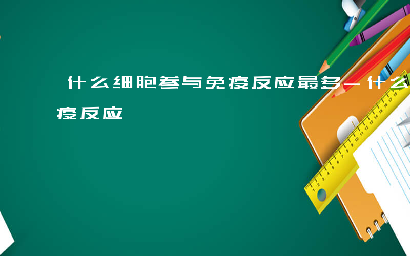 什么细胞参与免疫反应最多-什么细胞参与免疫反应