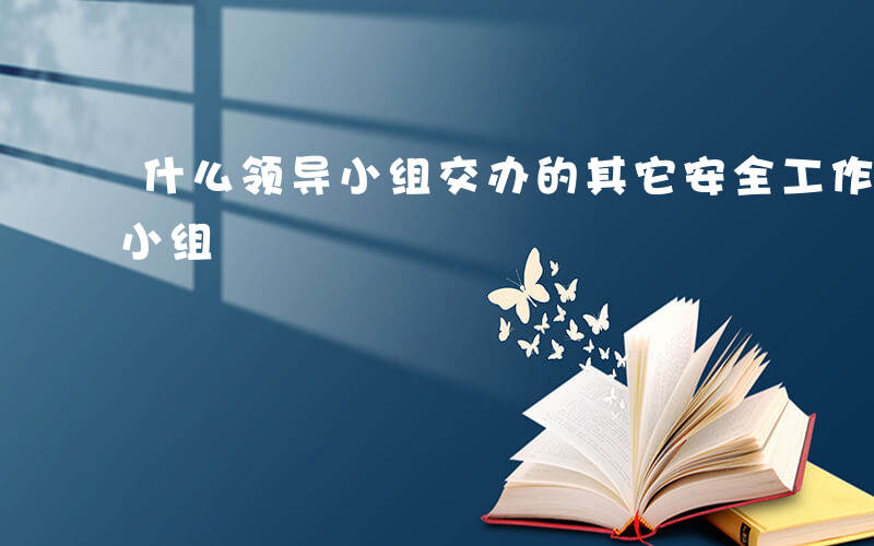 什么领导小组交办的其它安全工作-什么领导小组