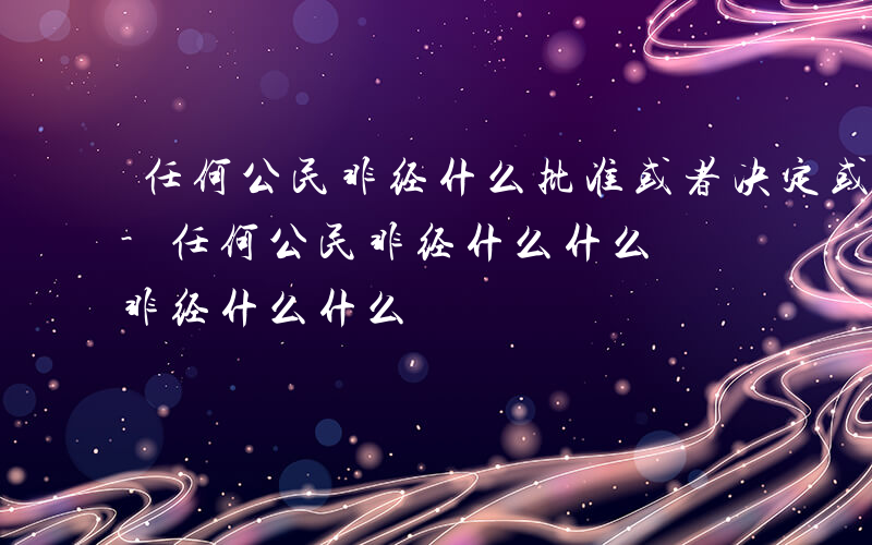 任何公民非经什么批准或者决定或者什么决定-任何公民非经什么什么