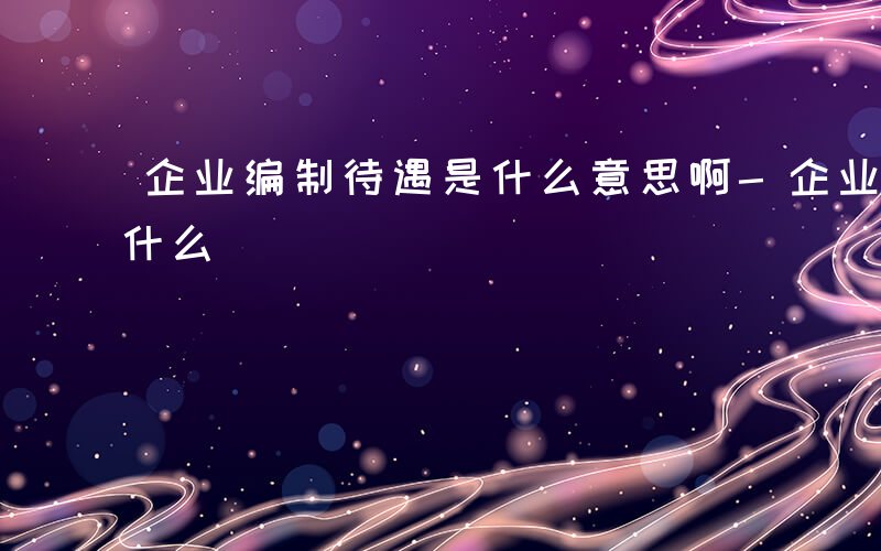 企业编制待遇是什么意思啊-企业编制待遇是什么