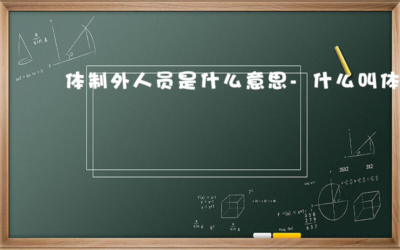 体制外人员是什么意思-什么叫体制外人员