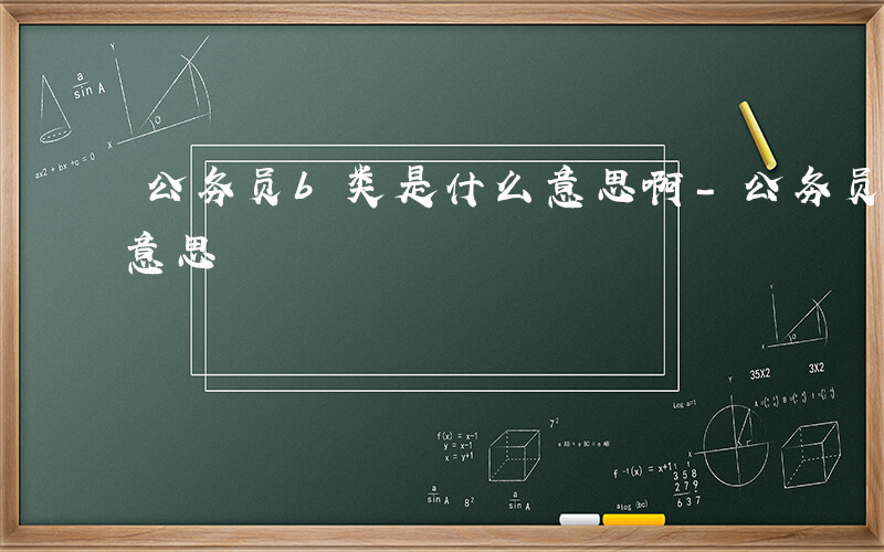 公务员b类是什么意思啊-公务员b类是什么意思