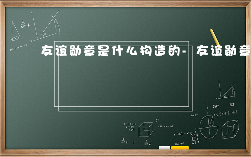 友谊勋章是什么构造的-友谊勋章是什么构造