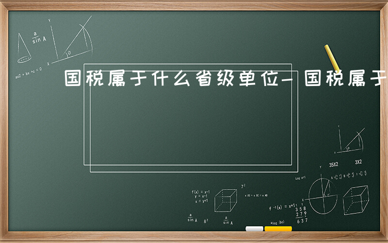 国税属于什么省级单位-国税属于什么省级