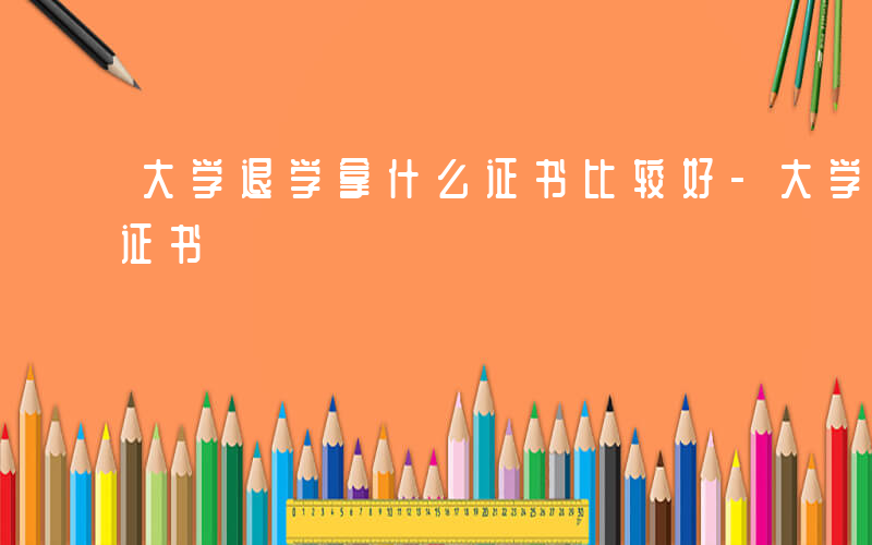 大学退学拿什么证书比较好-大学退学拿什么证书