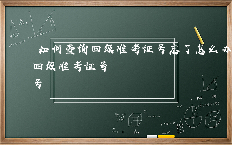 如何查询四级准考证号忘了怎么办-如何查询四级准考证号