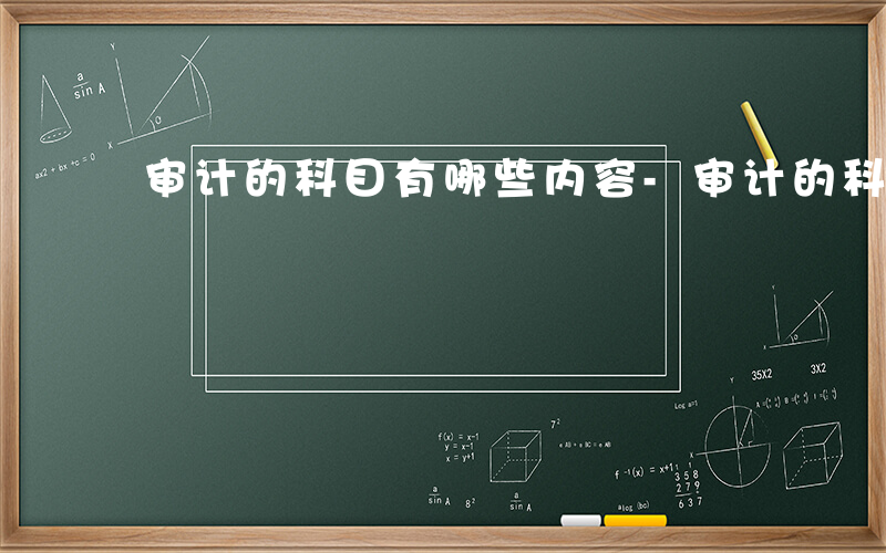 审计的科目有哪些内容-审计的科目有哪些