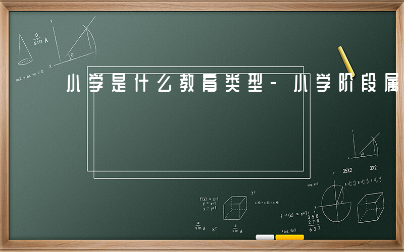 小学是什么教育类型-小学阶段属于什么教育