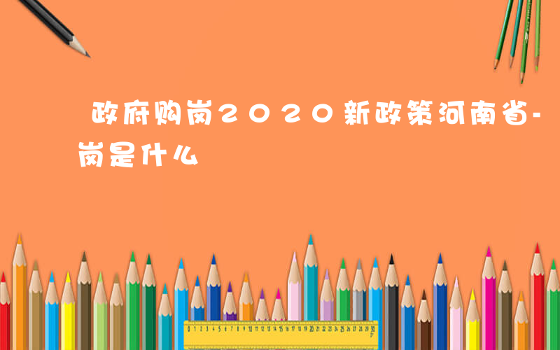政府购岗2020新政策河南省-河南政府购岗是什么