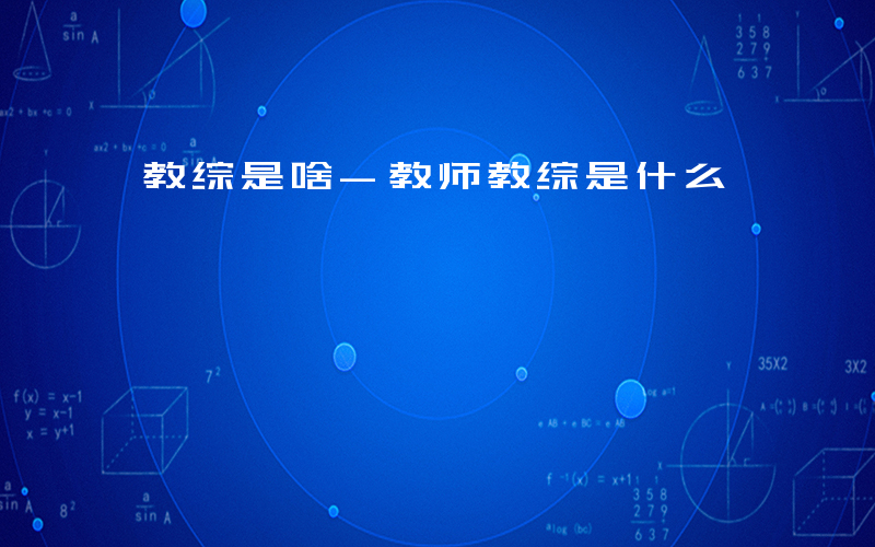 教综是啥-教师教综是什么