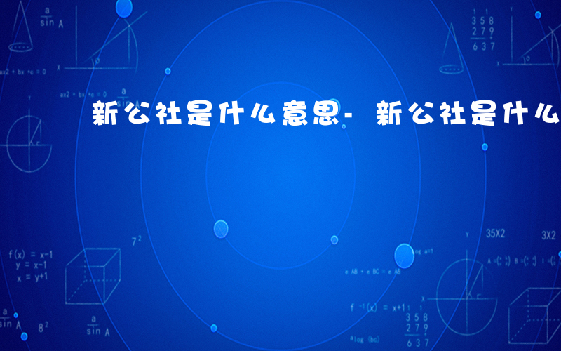 新公社是什么意思-新公社是什么