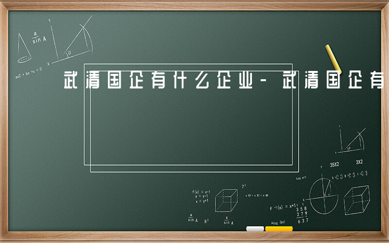 武清国企有什么企业-武清国企有什么