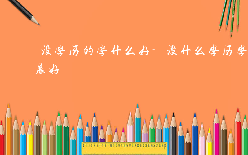 没学历的学什么好-没什么学历学什么语言发展好