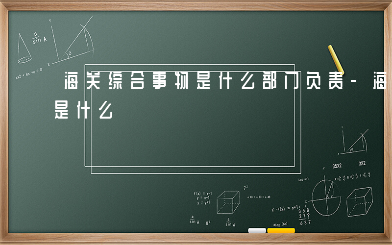 海关综合事物是什么部门负责-海关综合事物是什么