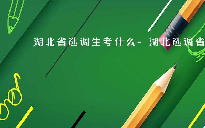 湖北省选调生考什么-湖北选调省考什么