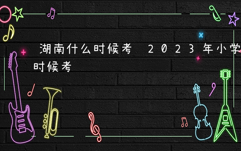 湖南什么时候考试2023年小学-湖南什么时候考试