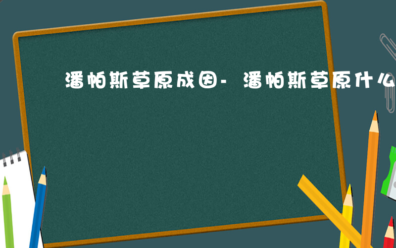 潘帕斯草原成因-潘帕斯草原什么业