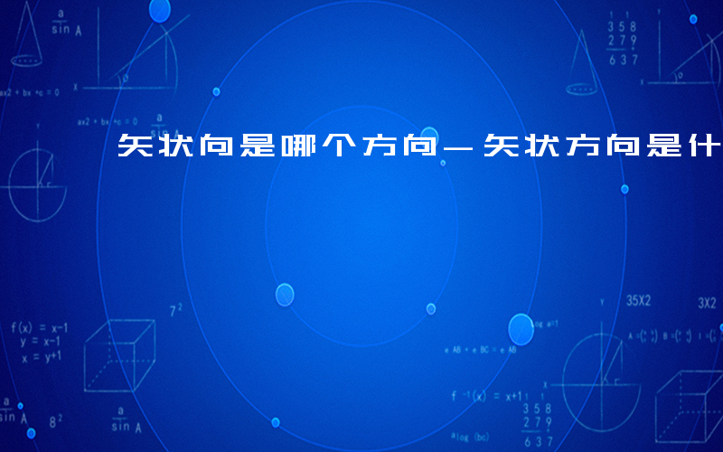 矢状向是哪个方向-矢状方向是什么方向