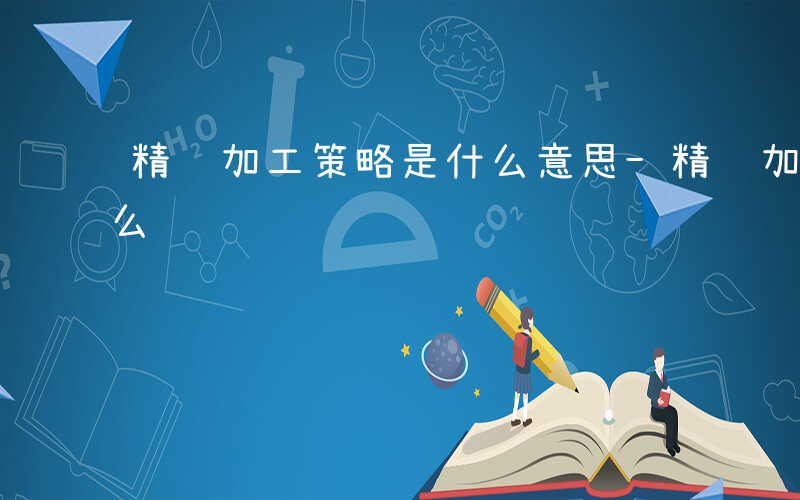 精细加工策略是什么意思-精细加工策略是什么