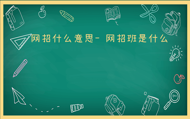 网招什么意思-网招班是什么