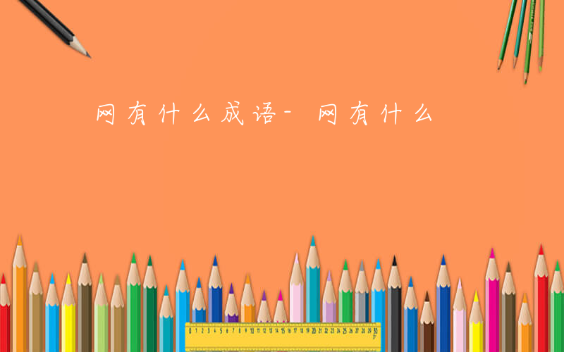 网有什么成语-网有什么