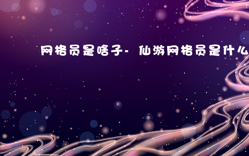 网格员是啥子-仙游网格员是什么