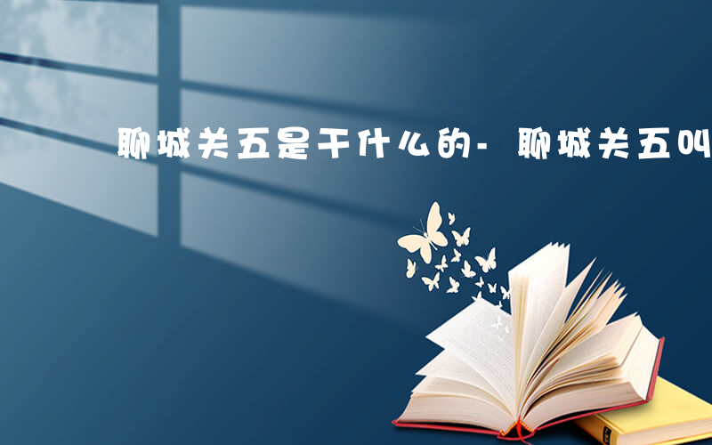 聊城关五是干什么的-聊城关五叫什么