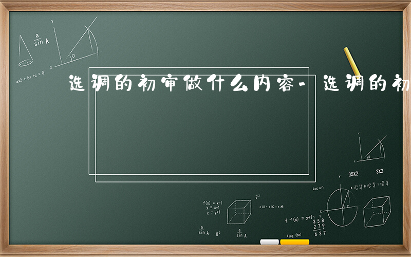 选调的初审做什么内容-选调的初审做什么